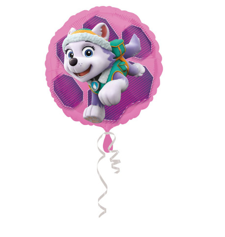 Paw Patrol fólia lufi Sky & Everest